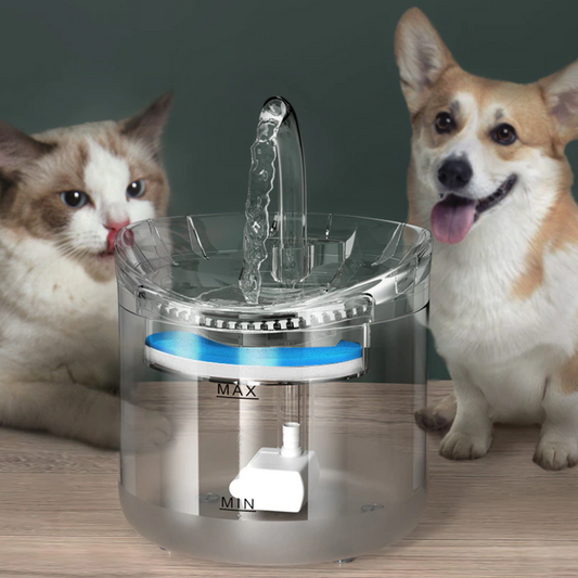 Fuente de agua para mascotas