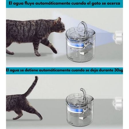 Fuente de agua para mascotas