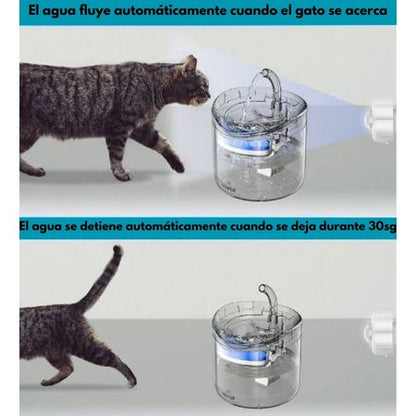 Fuente de agua para mascotas